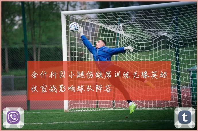 舍什科因小腿伤缺席训练无缘英超收官战影响球队阵容